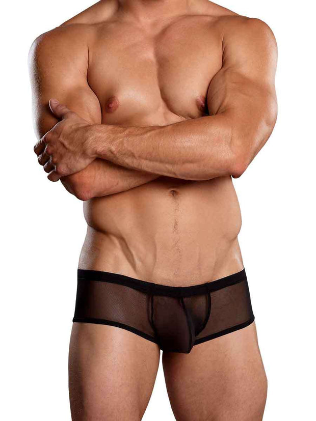 Black Mesh Micro Mini Pouch Short in L