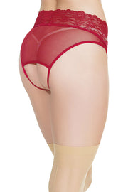 Crotchless Panty With Attached Garters O/S