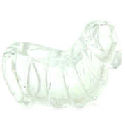 Detained Soft Body Chastity Cage