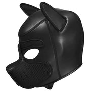 Spike Neoprene Puppy Hood