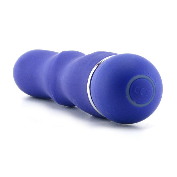 Posh Silicone Teaser 4 Vibe in Purple