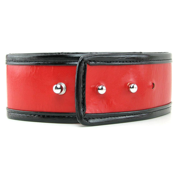 Red Leash and Collar