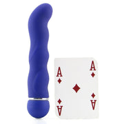 Posh Silicone Teaser 4 Vibe in Purple