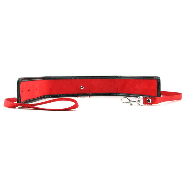 Red Leash and Collar